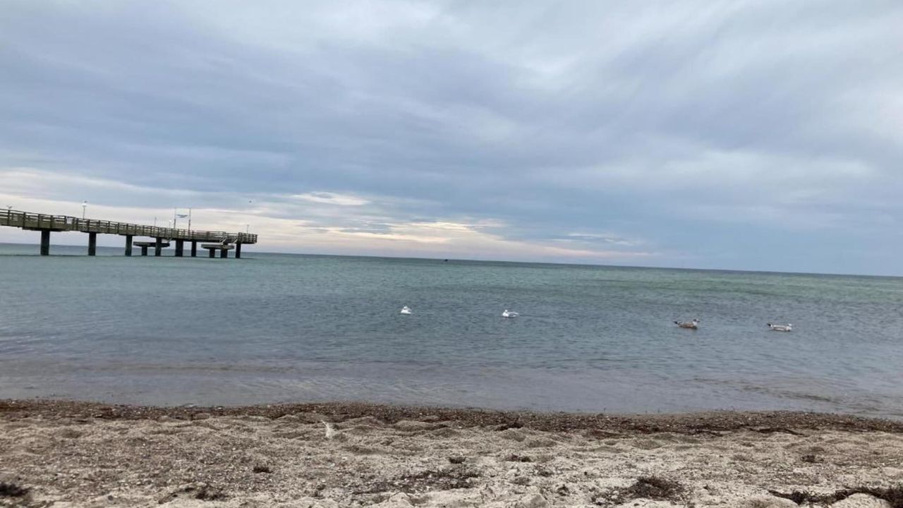 AreaSummer5KM AreaSummer5KM